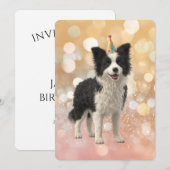 Invitation Border Collie Chien de Berger (Devant / Derrière)