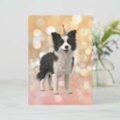 Invitation Border Collie Chien de Berger (Debout devant)