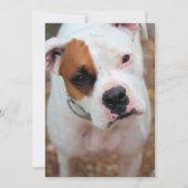 Invitation Boucle (Devant)