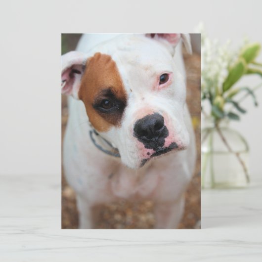 Invitation Boucle (Debout devant)