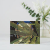 Invitation Bouddha en bambou (Debout devant)