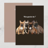 Bouledogue français famille de chiens