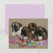 Invitation Bouledogue français Joyël Noël (Devant / Derrière)