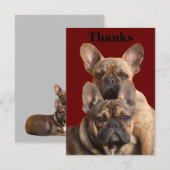 Invitation Bouledogues français (Devant / Derrière)