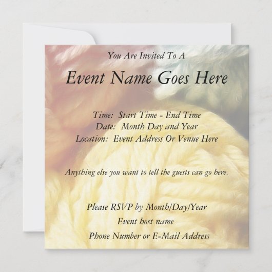 Invitation Boules Douces De Fer (Devant)