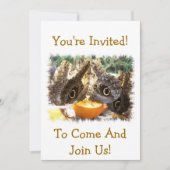 INVITATION BOUTEILLES (Devant)