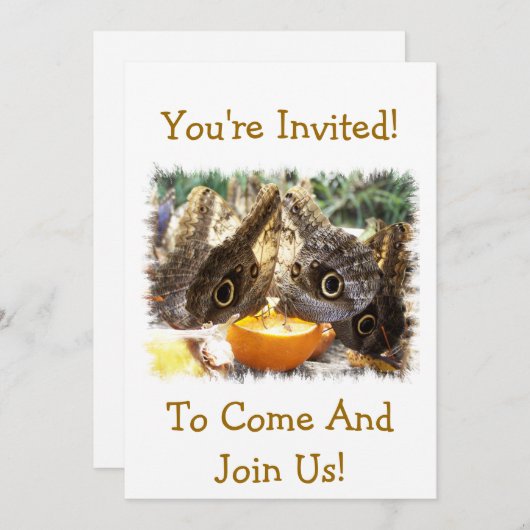 INVITATION BOUTEILLES (Devant / Derrière)