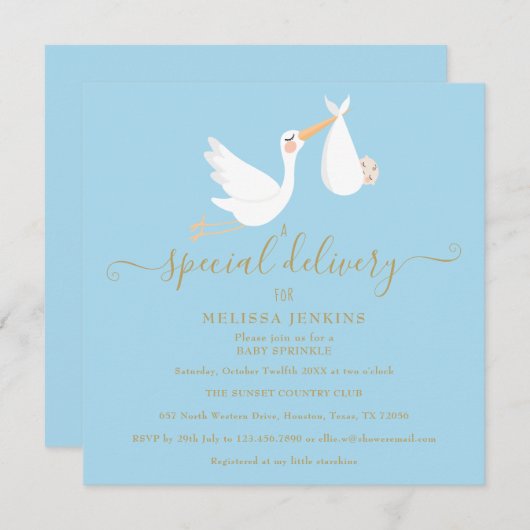 Invitation Boutique de livraison spéciale Bébé Sprinkle / Dou (Devant / Derrière)