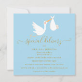 Invitation Boutique de livraison spéciale Bébé Sprinkle / Dou (Devant)