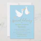 Invitation Boutique de livraison spéciale Bébé Sprinkle / Dou (Devant)