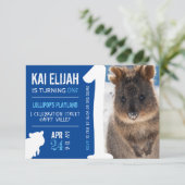 Invitation Boys Premier anniversaire Blue Quokka Australie Ph (Debout devant)
