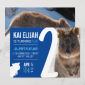 Invitation Boys Second Birthday Blue Quokka Australia Photo (Devant / Derrière)