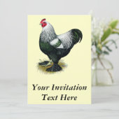 Invitation Brahma : Coq foncé (Debout devant)