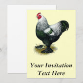 Invitation Brahma : Coq foncé (Devant / Derrière)