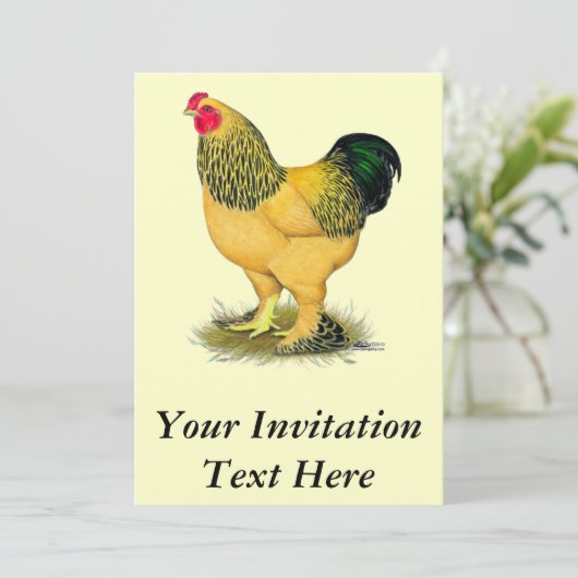 Invitation Brahma : Rooster Buff (Debout devant)