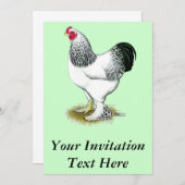 Invitation Brahma : Rooster léger (Devant / Derrière)