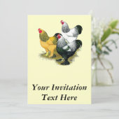 Invitation Brahmas Three Roosters (Debout devant)