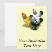 Invitation Brahmas Three Roosters (Devant / Derrière)