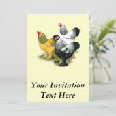 Invitation Brahmas Three Roosters (Debout devant)