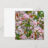 Invitation Branche délicate avec fleurs pommier (Devant / Derrière)