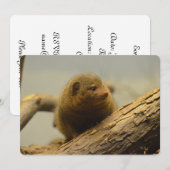 Invitation Branche mongole à arbre (Devant / Derrière)