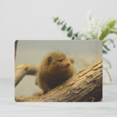 Invitation Branche mongole à arbre (Debout devant)