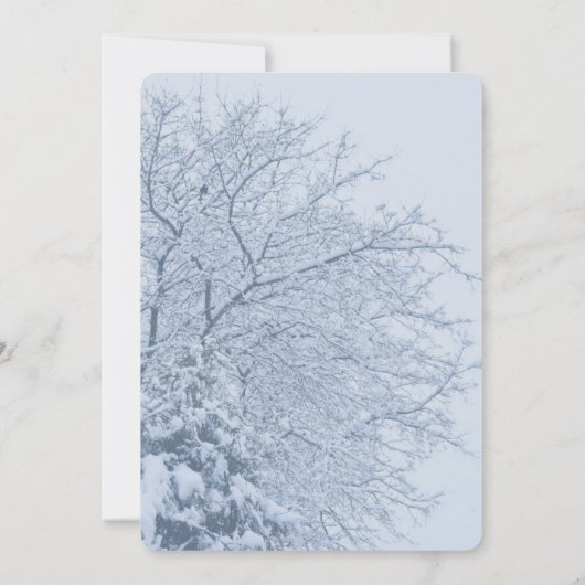 Invitation Branches d'arbres enneigées en hiver (Dos)