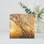 Invitation branches de glaçon au coucher du soleil (Debout devant)