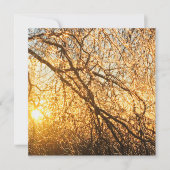 Invitation branches de glaçon au coucher du soleil (Devant)