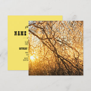 Invitation branches de glaçon au coucher du soleil