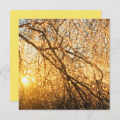 Invitation branches de glaçons au coucher du soleil (Devant / Derrière)