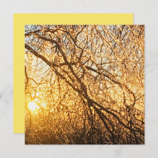 Invitation branches de glaçons au coucher du soleil (Devant / Derrière)