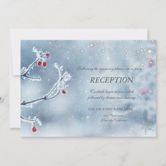 Invitation Branches Réception Bleue Hiver Merveilleux (Devant)