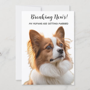 Invitation Breaking News Mes Humains Se Marient