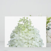 Invitation Bride Hydrangea Limelight / Wedding shower (Debout devant)