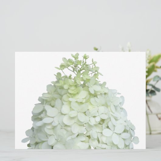 Invitation Bride Hydrangea Limelight / Wedding shower (Debout devant)