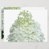 Invitation Bride Hydrangea Limelight / Wedding shower (Devant / Derrière)