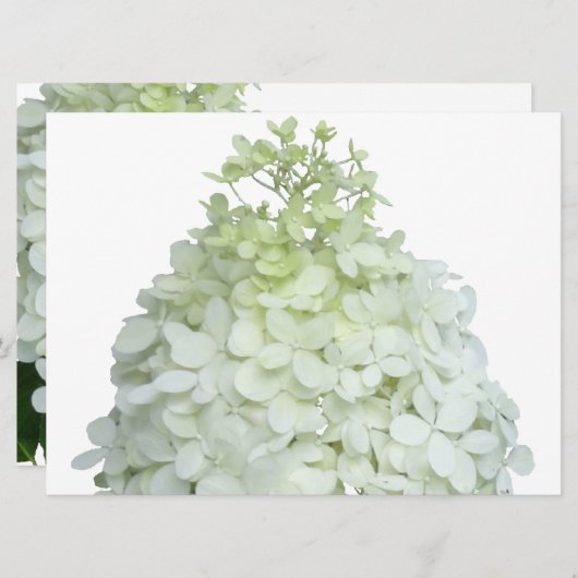Invitation Bride Hydrangea Limelight / Wedding shower (Devant / Derrière)