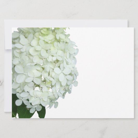 Invitation Bride Hydrangea Limelight / Wedding shower (Dos)
