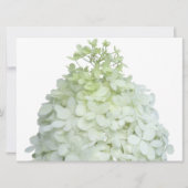 Invitation Bride Hydrangea Limelight / Wedding shower (Devant)