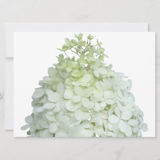 Invitation Bride Hydrangea Limelight / Wedding shower (Devant)