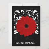 Invitation Bright Red Gerbera Daisy on Black (Devant)