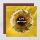 Invitation Bruit de la musique (Devant / Derrière)