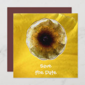 Invitation Bruit de la musique (Devant / Derrière)