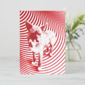 Invitation brume folle (Debout devant)