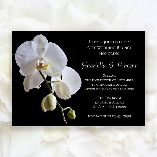 Invitation Brunch de mariage après la noce avec orchidée blan