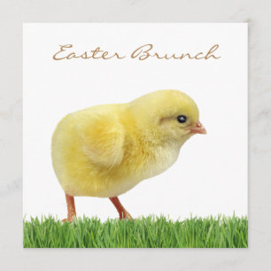Invitation brunch de Pâques carrés 5,25 x 5,25 pouces Invitat