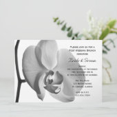 Invitation Brunch Mariage White Orchid Post (Debout devant)