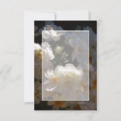 Invitation Budget blanc mariage de roses blanches (Devant)