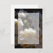 Invitation Budget blanc mariage de roses blanches (Devant / Derrière)